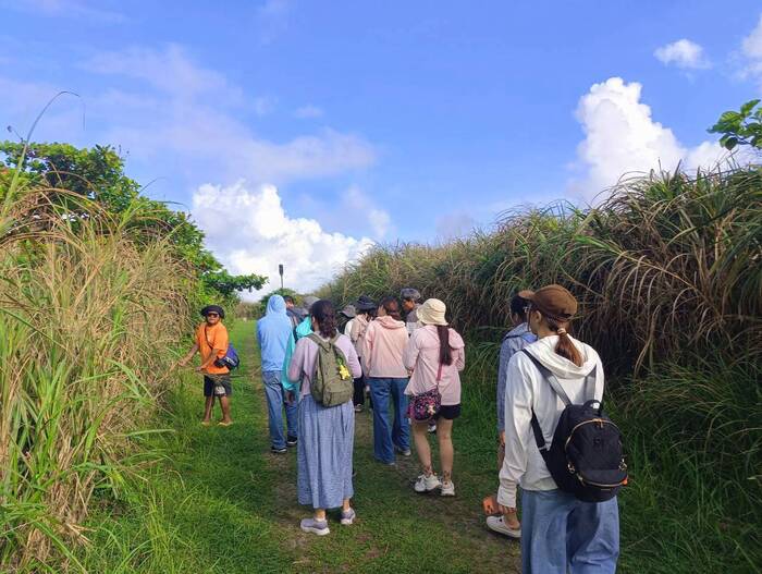 走進青青草原介紹植物用途圖片